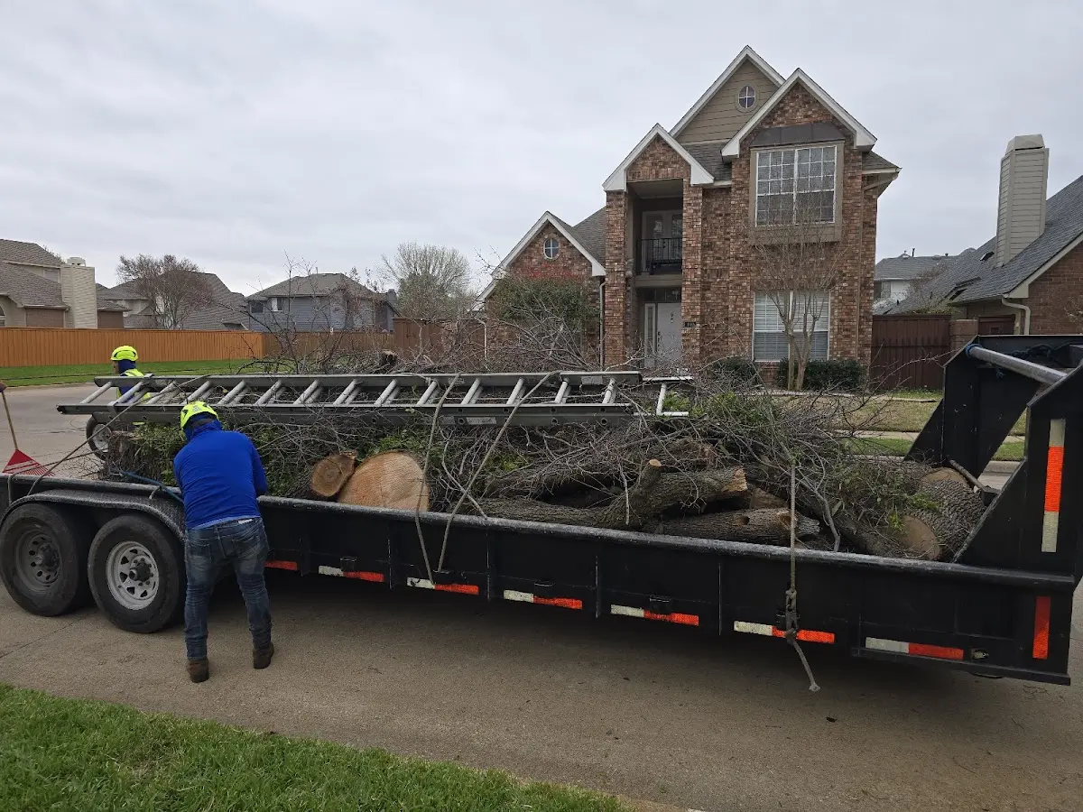 Expert Tree Fertilization with proper safety equipment in Mellen